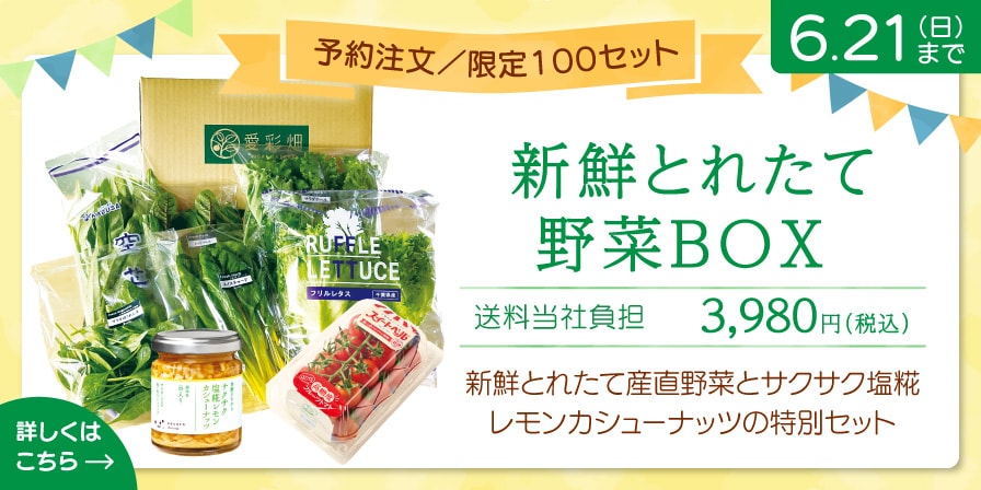 新鮮とれたて野菜BOX