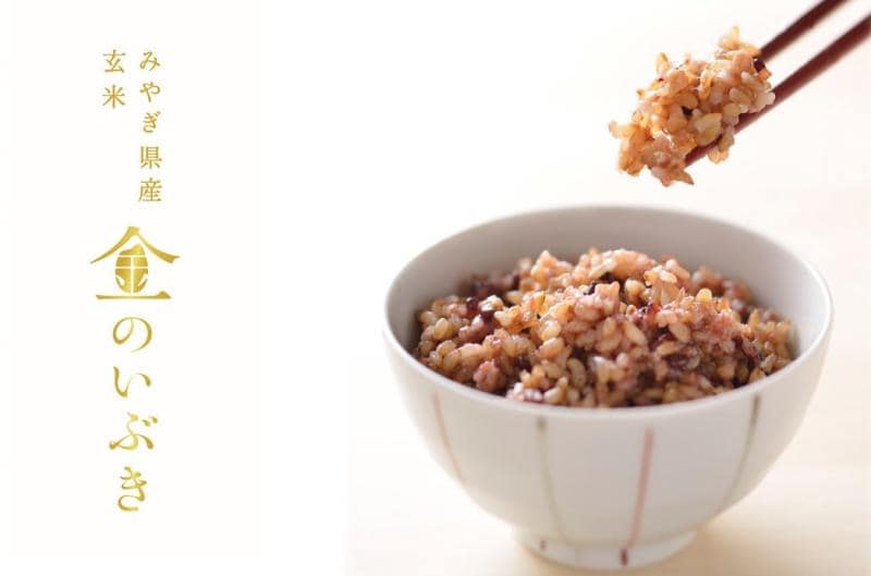 もちもち玄米12食+食べるみそ汁15食定期コース