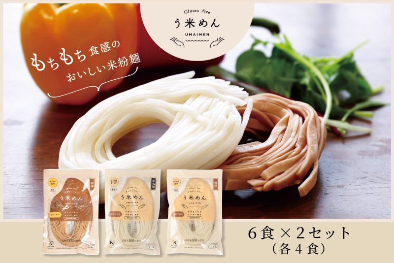 もちもち米粉麺 ミックス 6食×2セット おまとめ|発酵のある暮らし