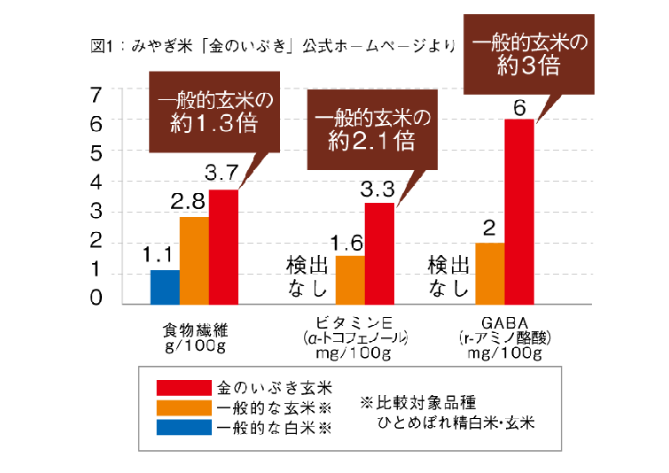 糀入りもちもち玄米12食　定期コース