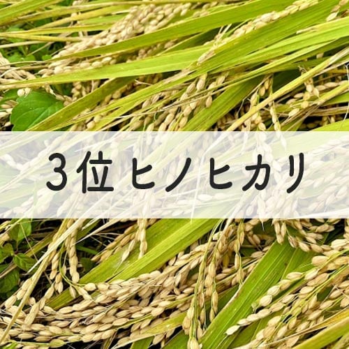 ヒノヒカリ-イメージ