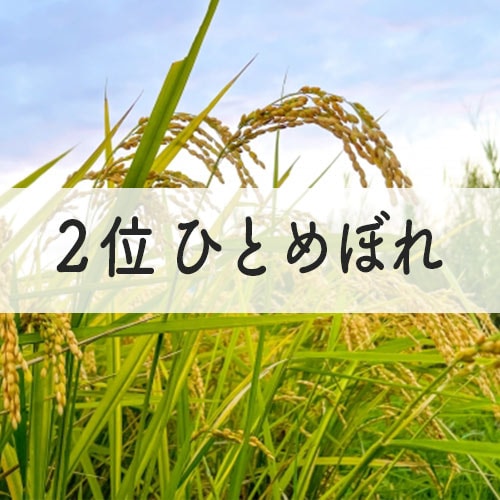 ひとめぼれ--イメージ