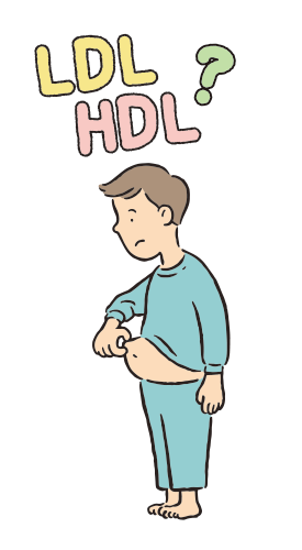 LDL、HDLってなに？イラスト