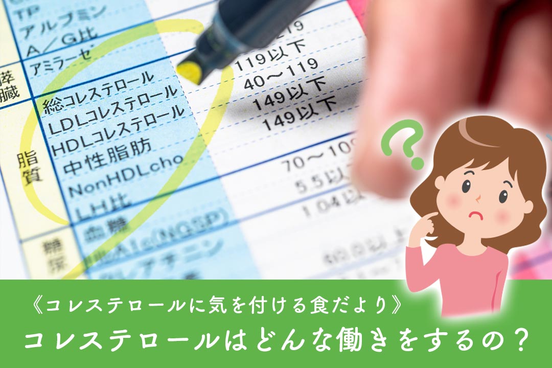 コレステロールはどんな働きをするの？