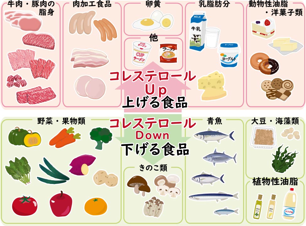 コレステロール食材表画像