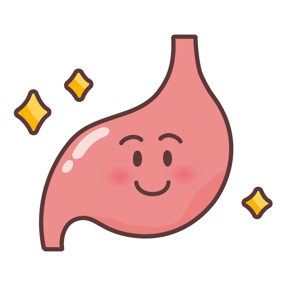 胃腸が健康なイメージ