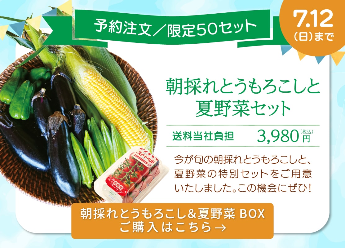 朝採れとうもろこしと夏野菜セット