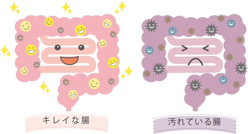 腸のイメージ