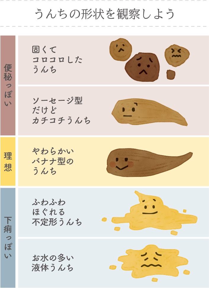 うんちの形状を観察しようの図