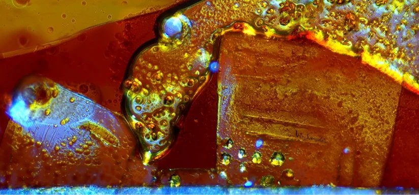 photo_6